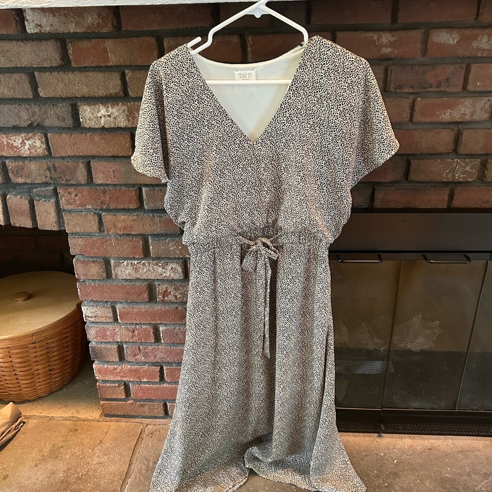 Sienna Sky cheetah print dress